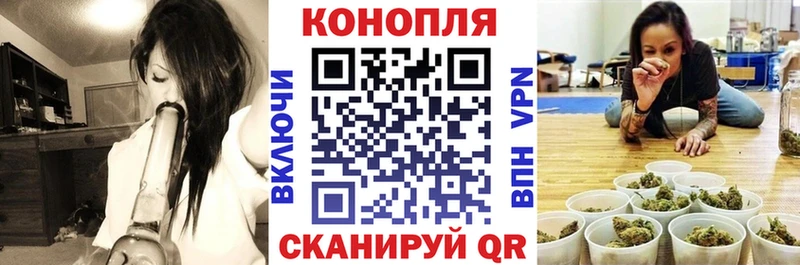 KRAKEN ТОР  Тайга  Конопля SATIVA & INDICA 